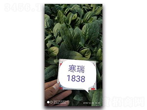 ����1838-��������-��������