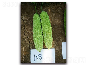 ����1511-�������-��������