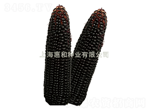 ������-��������-�ݺ���ҵ