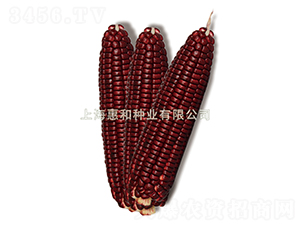 ����Ŵ1��-Ŵ��������-�ݺ���ҵ