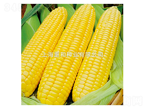 �������-��������-�ݺ���ҵ