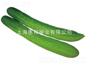 �ڳɰ��-�ƹ�����-�ݺ���ҵ