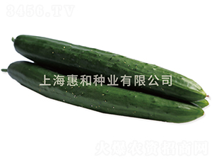 Ũ�̽ڳ�����-�ƹ�����-�ݺ���ҵ