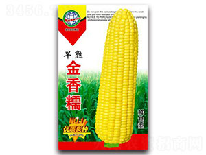 �������Ŵ-Ŵ��������-����