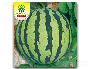 Ѥ��-��������-����ũҵ