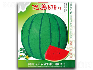 ����879-��������-����ũҵ