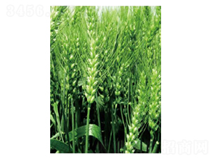 �ɴ�18��-С������-�����ҵ
