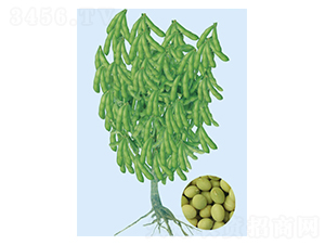 �ɿ�3��-ë������-�����ҵ