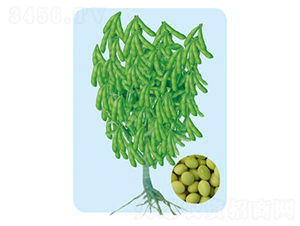 �Ʒ�һ��-ë������-�����ҵ
