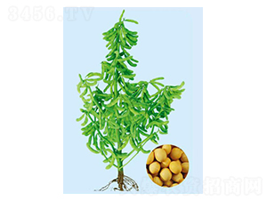 �ɶ�56-������-�����ҵ