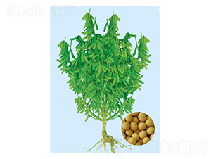 �ɶ�50-������-�����ҵ