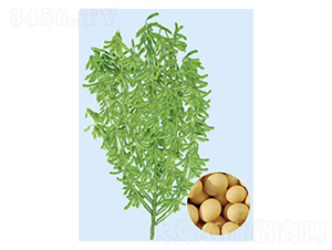 �ɶ�32-������-�����ҵ
