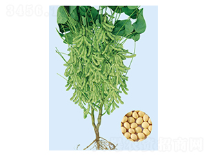 �ɶ�15-������-�����ҵ