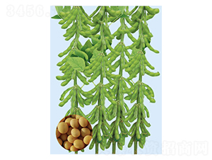 �ں�45-������-�����ҵ