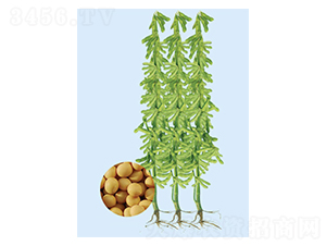 �Ϸ�55-������-�����ҵ