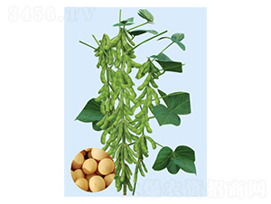 �Ϸ�53-������-�����ҵ