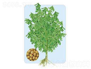 �ɶ�34-������-�����ҵ