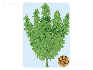 �ɶ�36-������-�����ҵ