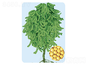 �ɶ�39-������-�����ҵ