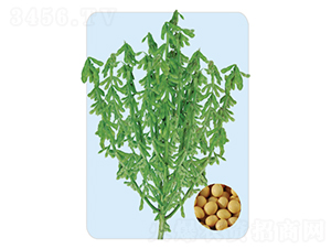 �л�45-������-�����ҵ
