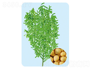 �ɶ�68-������-�����ҵ