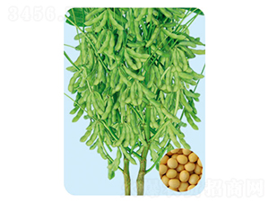 �ɶ�38-������-�����ҵ