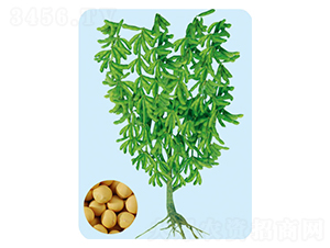 �ɶ�22-������-�����ҵ