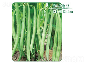 81-6-�ض�����-������ҵ