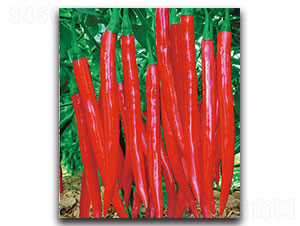 ����-��������-���ʵ���