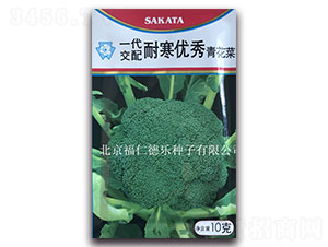 10g�ͺ�����-����������-���ʵ���