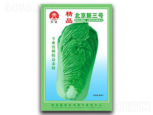 ����������-�ײ�����-����