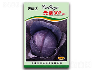 ����307-��������-���Ŵ�
