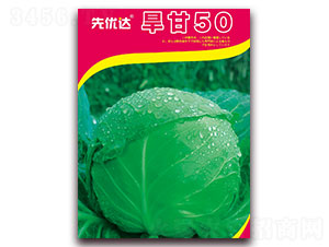 ����50-��������-���Ŵ�