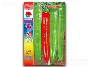 ����1730-�⽷����-������ҵ