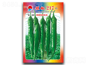 ��217-�⽷����-������ҵ