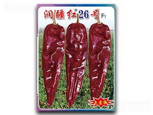 �󽮺�26��-��������-������ҵ