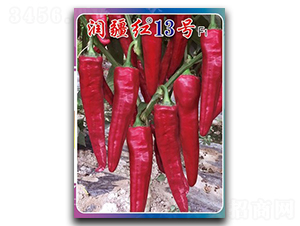 �󽮺�13��-��������-������ҵ