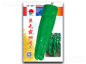 ���ް��ĺ�-�ݽ�����-������ҵ