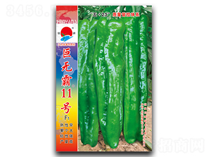 ���ް�11��-�ݽ�����-������ҵ