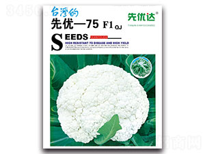 ����75-F1-��Ҭ������-���Ŵ�