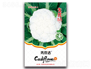 ����55F1-��Ҭ������-���Ŵ�