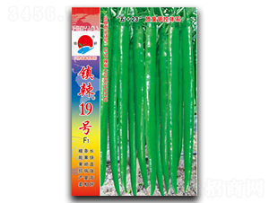 ����19��-�߽�����-������ҵ