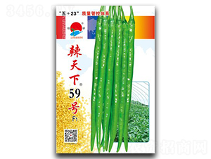 ������59��-�߽�����-������ҵ