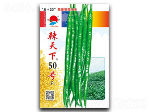 ������50��-�߽�����-������ҵ