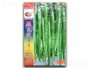 ������9��-�߽�����-������ҵ