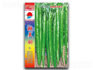 ����40-�߽�����-������ҵ