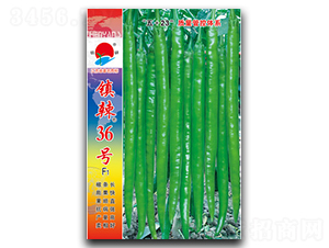 ����36��-�߽�����-������ҵ