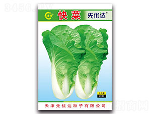 20g���ſ��-�������-���Ŵ�