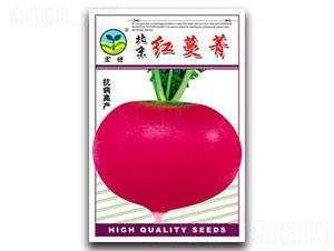 ����ݼ-�ܲ�����-����