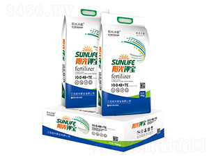 ����ر�10-0-48+TE-������-�����ҵ